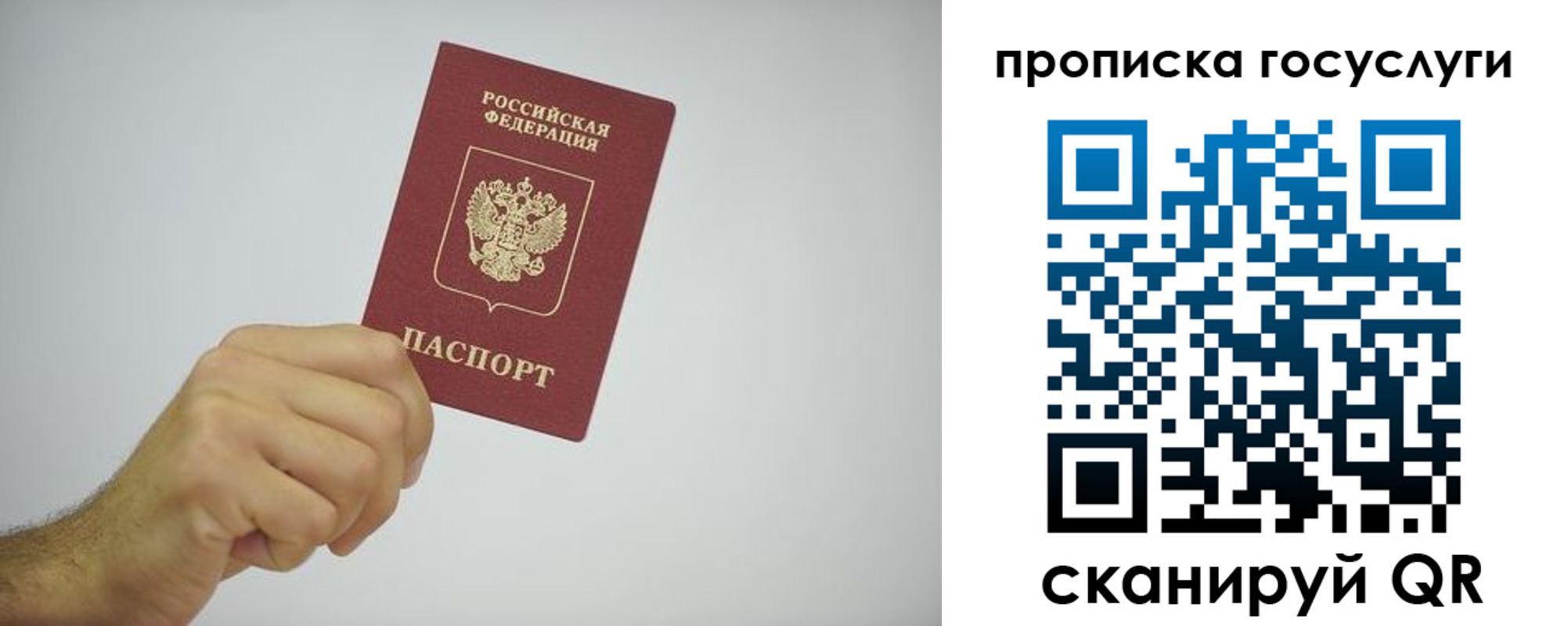 прописка законно в Россоши